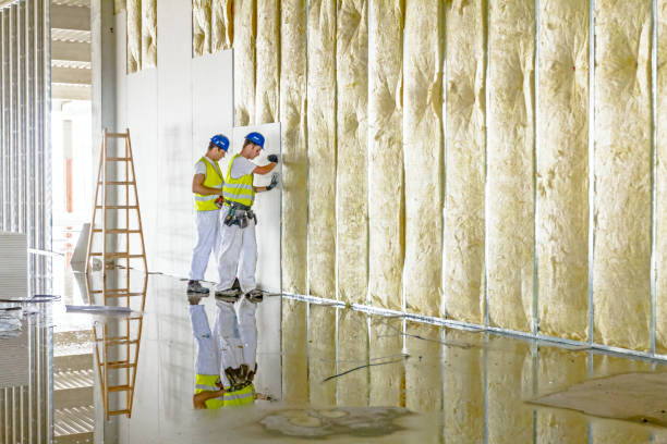 Best Insulation Maintenance and Repair in Middlesex, NJ